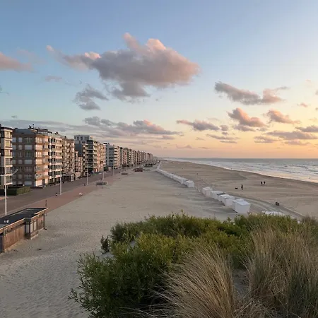1 Minutes Walking To The Sea, In * Koksijde
